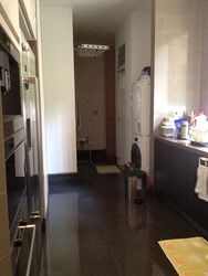 Belle Vue Residences (D9), Condominium #604931861